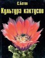 Культура кактусов артикул 13806c.